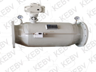 自動排污過濾器